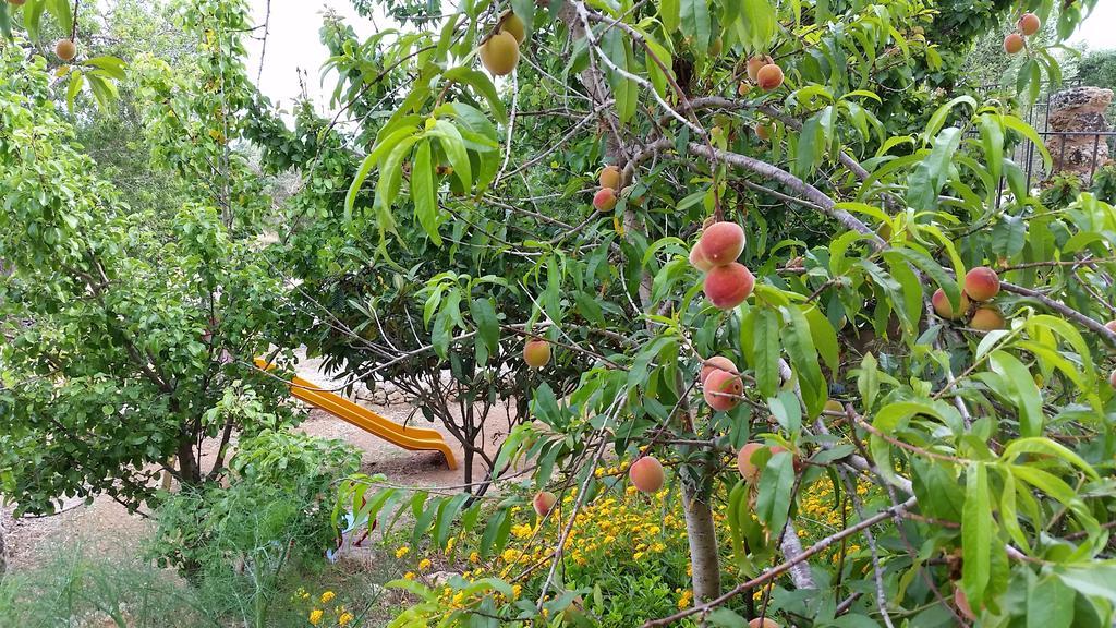 Masseria Ruri Pulcra Patù Dış mekan fotoğraf